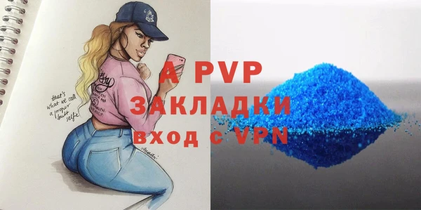 прущие грибы Ельня