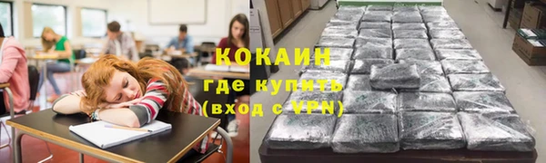 шишки Заволжск