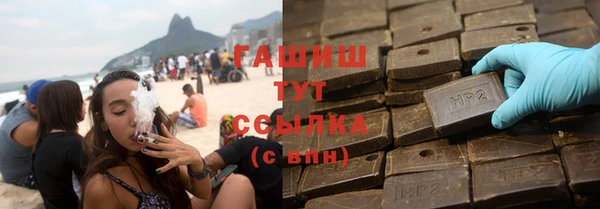 прущие грибы Ельня