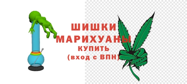шишки Заволжск