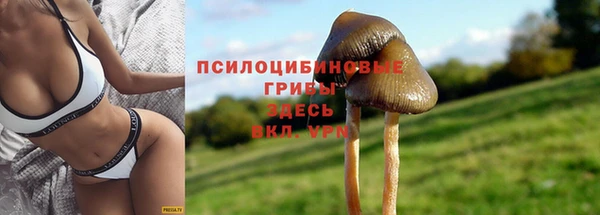 прущий лед Елабуга