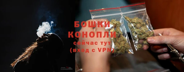 прущие грибы Ельня