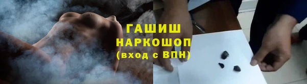 прущие грибы Ельня