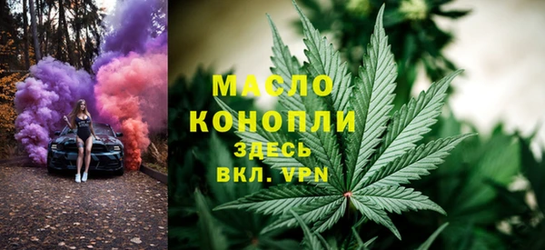 прущие грибы Ельня