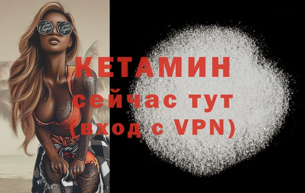 прущие грибы Ельня