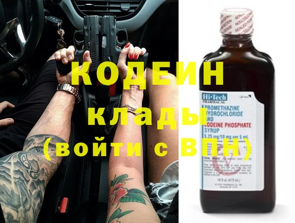 мдпв Елизово
