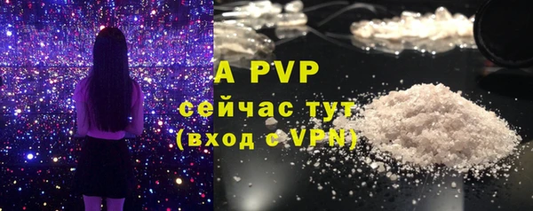 мдпв Елизово