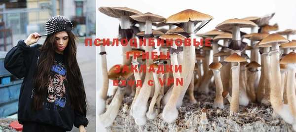 прущий лед Елабуга