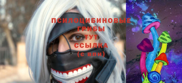 прущий лед Елабуга