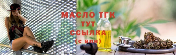 прущие грибы Ельня