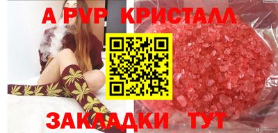 спиды Тула